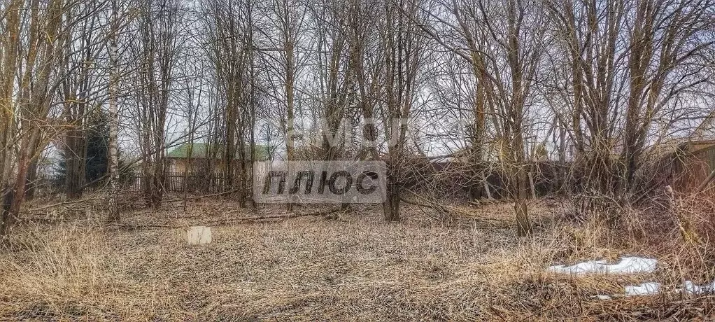 Участок в Московская область, Дмитровский муниципальный округ, ... - Фото 2