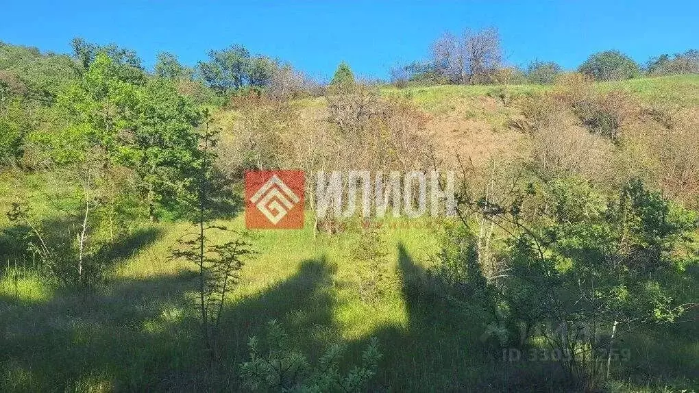 Участок в Крым, Алушта муниципальный округ, с. Приветное ул. Горького, ... - Фото 2