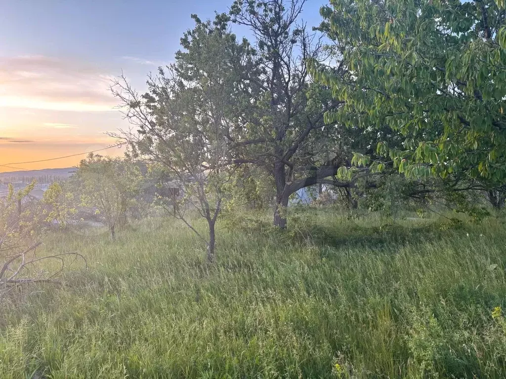 Участок 6 сот. (СНТ, ДНП) - Фото 0