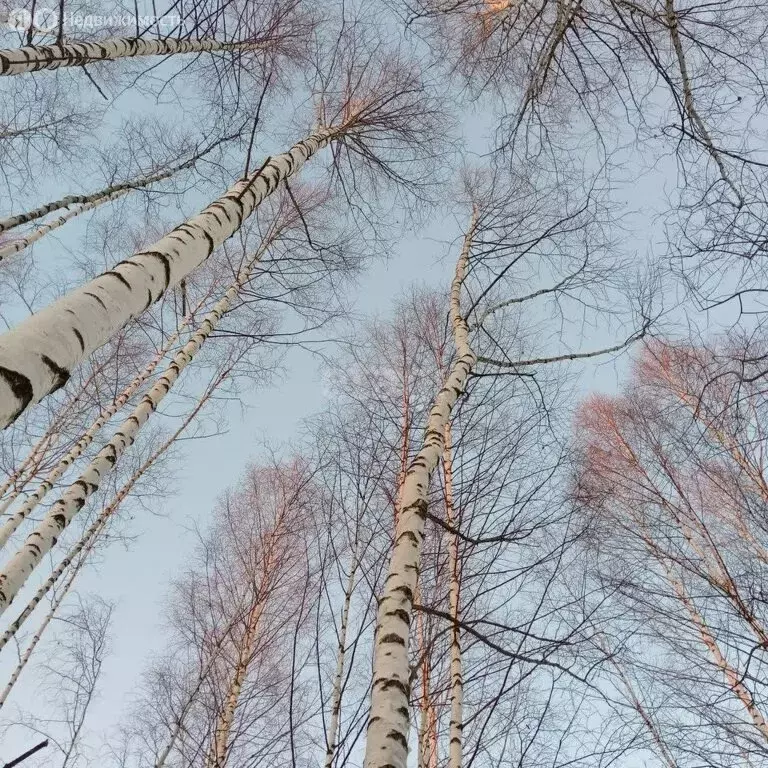 Участок в Краснокамский городской округ, деревня Новосёлы, Малый ... - Фото 0