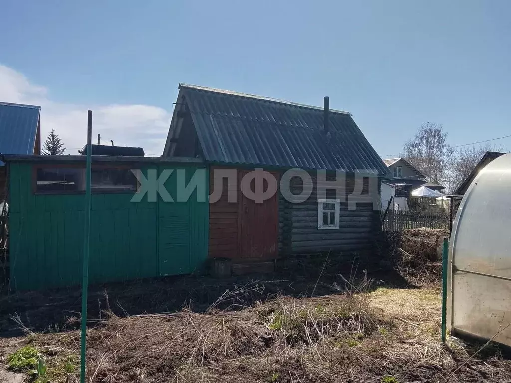 Дом в Новосибирская область, Колыванский район, Энтузиаст СНТ  (35 м) - Фото 1