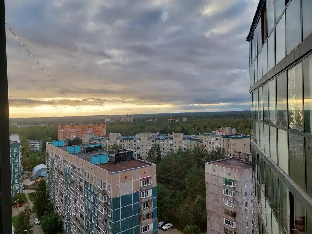1-к кв. Ленинградская область, Сертолово Всеволожский район, Парковый ... - Фото 0