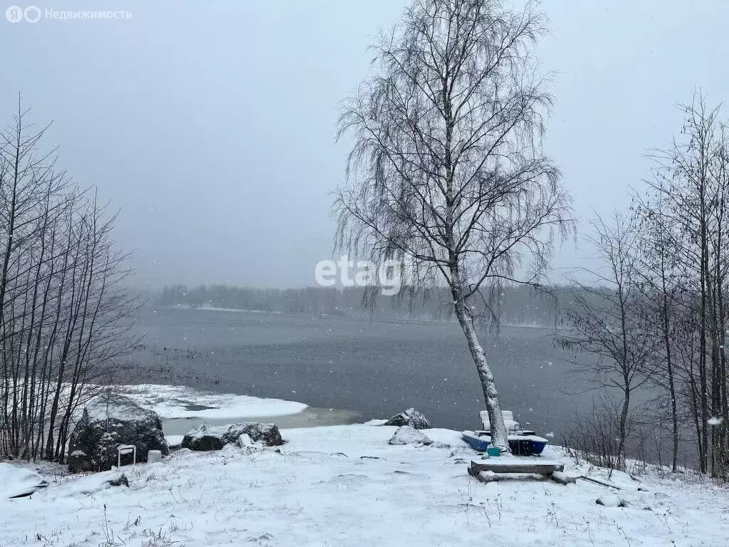 участок в приозерский район, ромашкинское сельское поселение, посёлок . - Фото 0