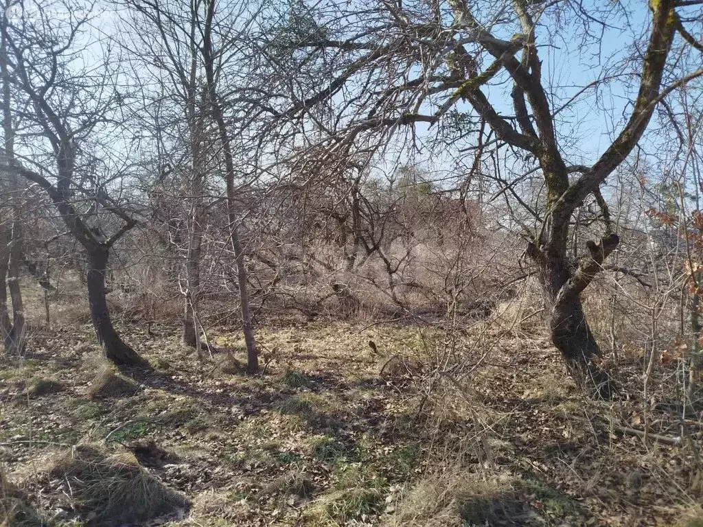 Участок в посёлок Совхозное, Садовый переулок (12 м) - Фото 1