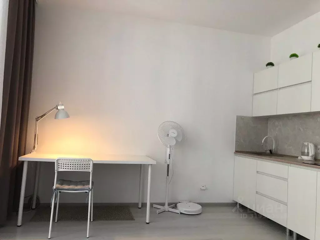Студия Санкт-Петербург аллея Арцеуловская, 17 (24.4 м) - Фото 1