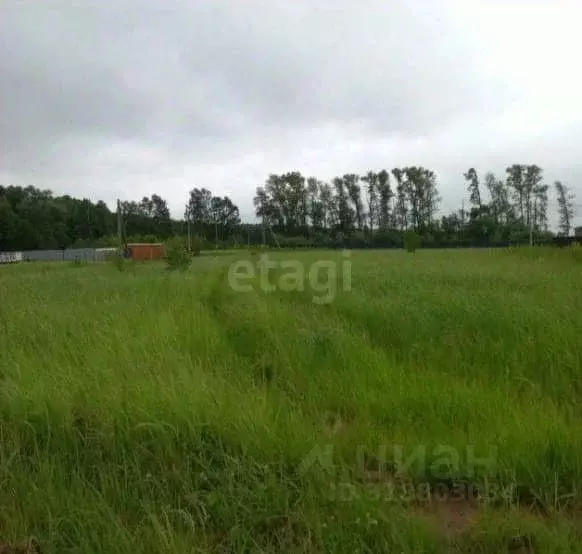 Участок в Московская область, Коломна городской округ, д. Шапкино ул. ... - Фото 0