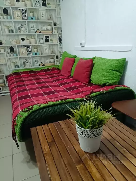 Студия Краснодарский край, Новороссийск ул. Чайковского, 70 (28.0 м) - Фото 1