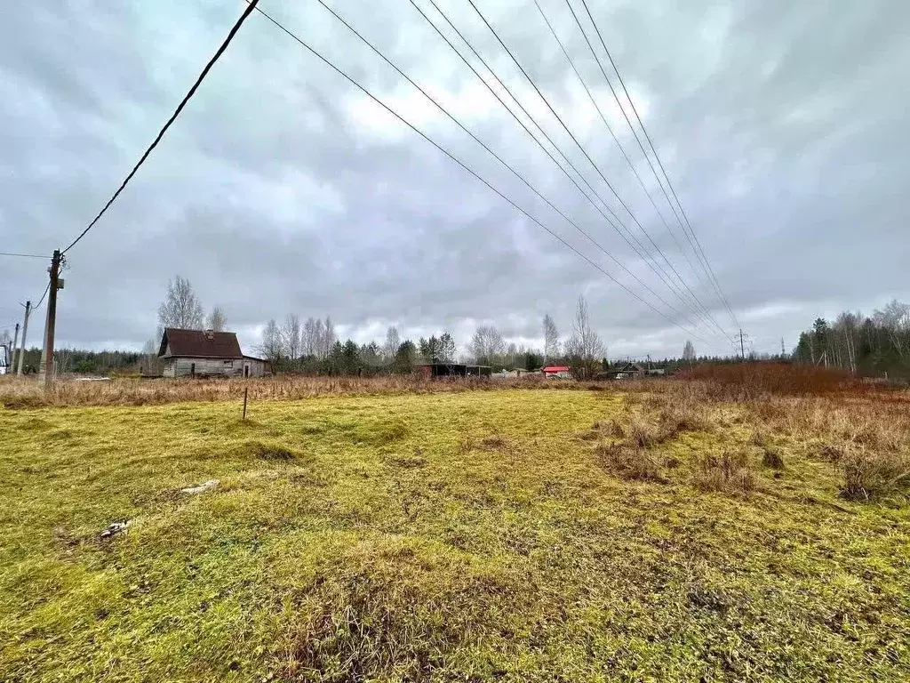 Участок в Ленинградская область, Кировский район, Мгинское городское ... - Фото 1