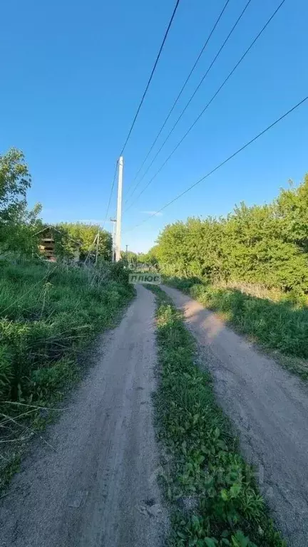 Участок в Алтайский край, Белокуриха ул. Декабристов, 24 (9.52 сот.) - Фото 2