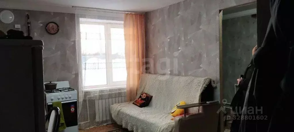 Дом в Пермский край, Чернушка ул. Энтузиастов, 17 (36 м) - Фото 2