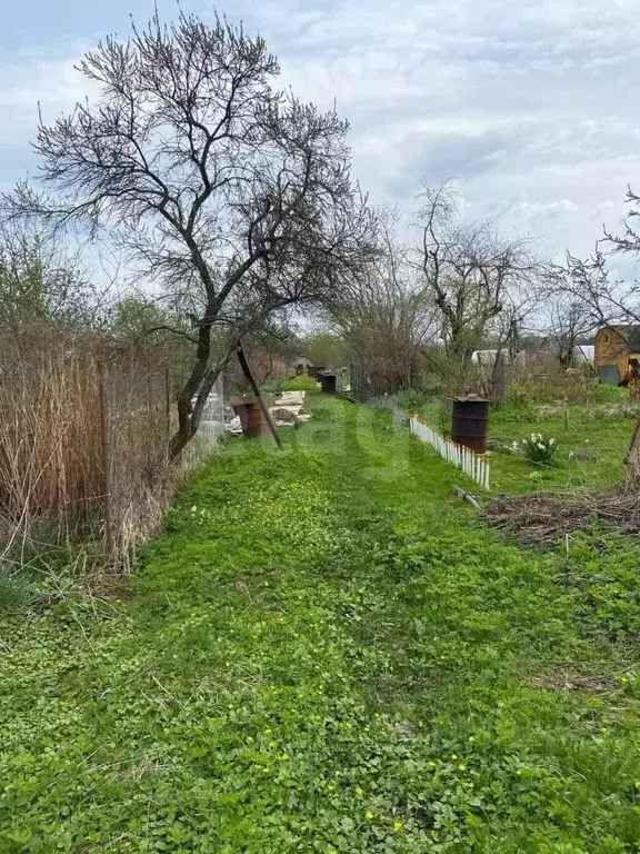 Участок в Костромская область, Кострома Знамя Труда СТ,  (4.85 сот.) - Фото 1