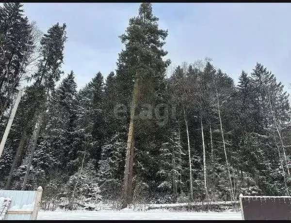 Участок в Московская область, Одинцовский городской округ, 30 лет ... - Фото 0