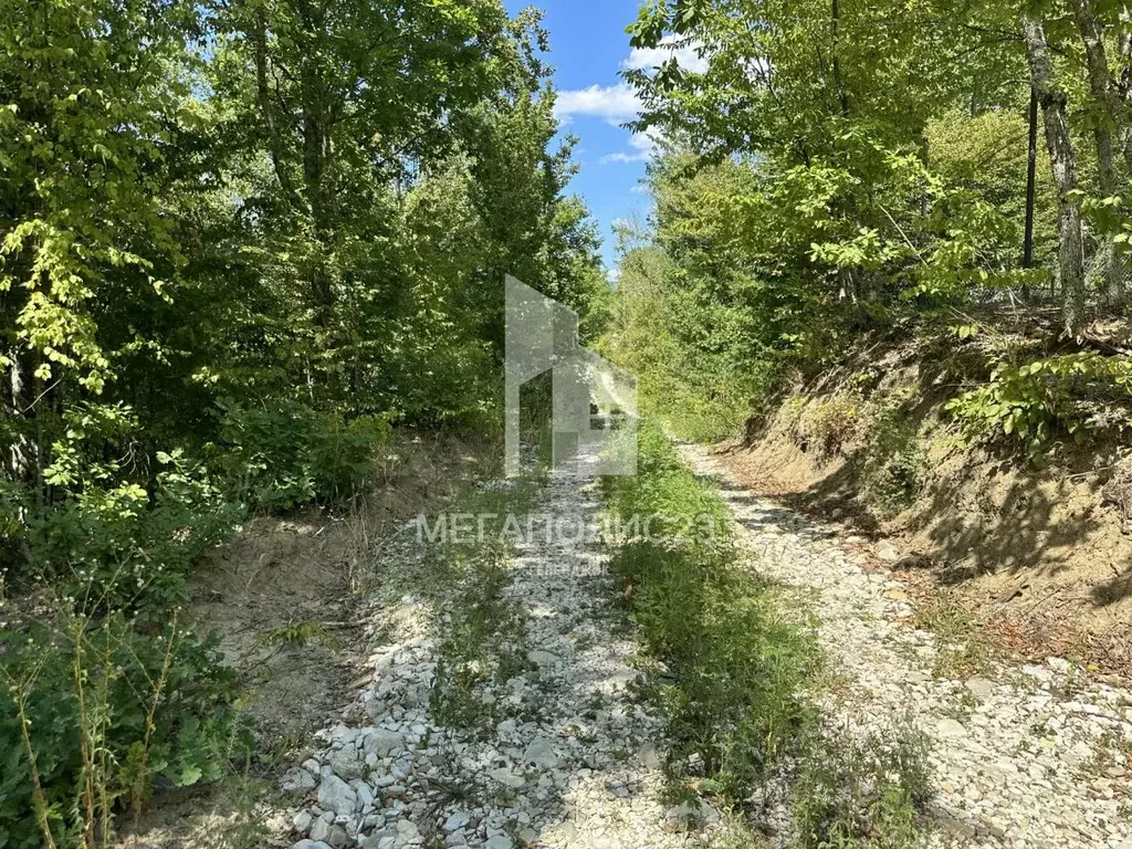 Участок в Краснодарский край, Геленджик муниципальное образование, с. ... - Фото 1