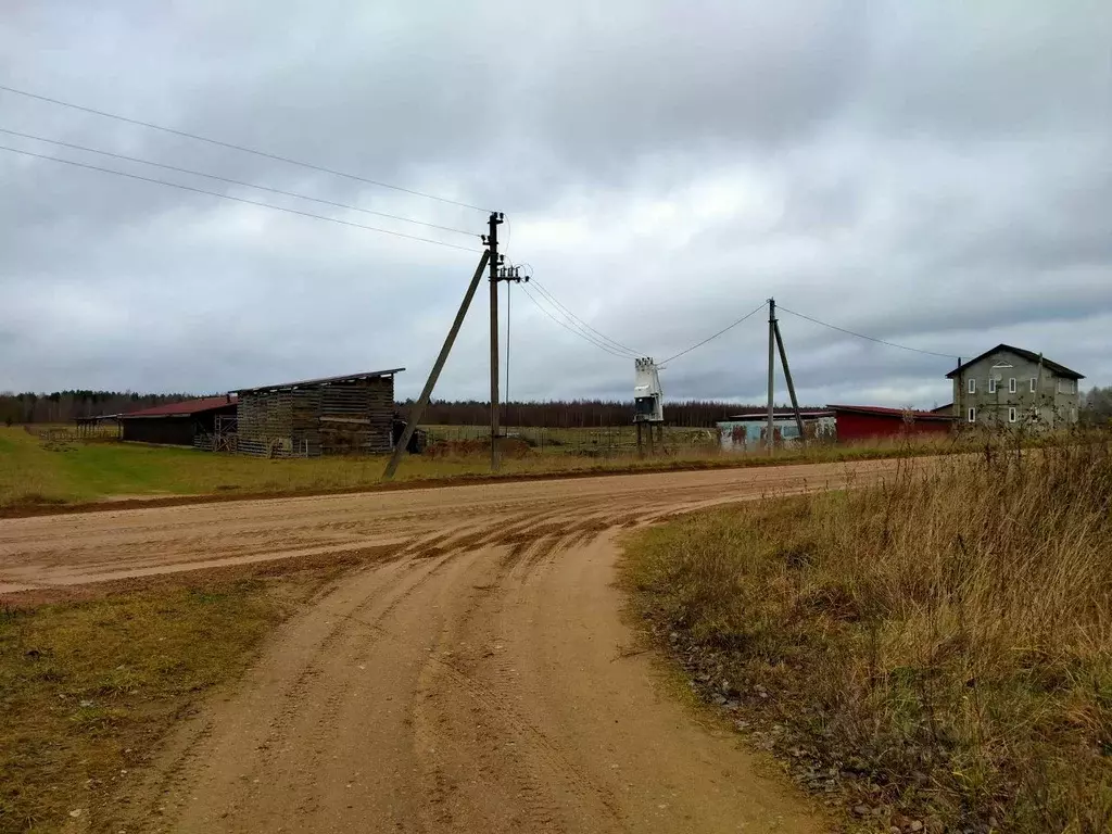 Участок в Псковская область, Палкинский район, д. Еваново  (14.0 сот.) - Фото 1