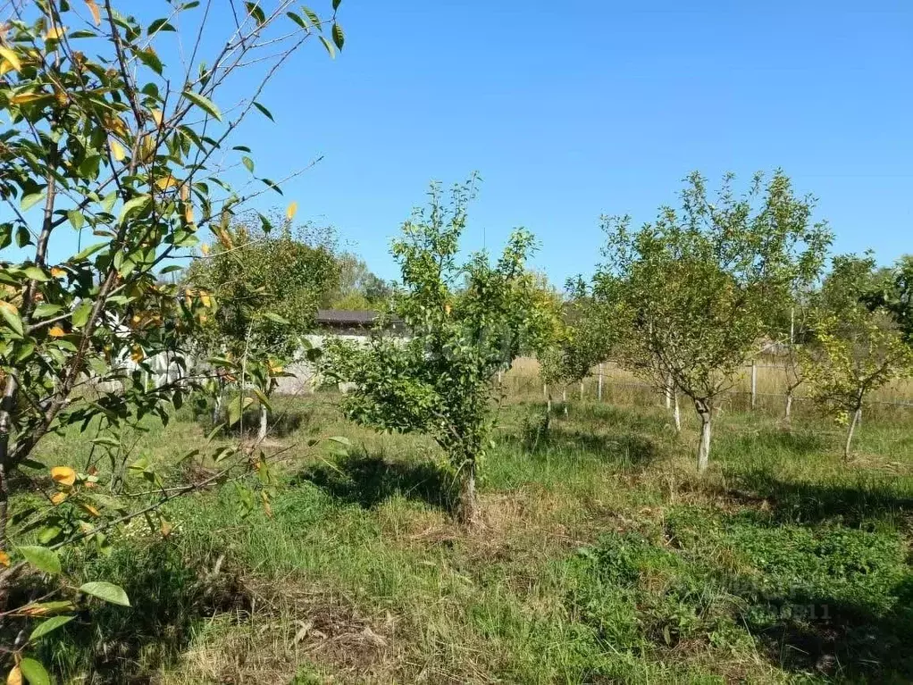 Участок в Тульская область, Дубенский район, Воскресенское с/пос, д. ... - Фото 1