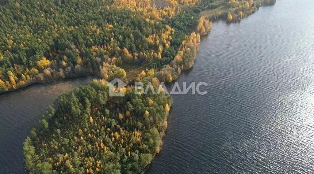 Участок в Карелия, Медвежьегорский муниципальный округ, д. Сибово  ... - Фото 1