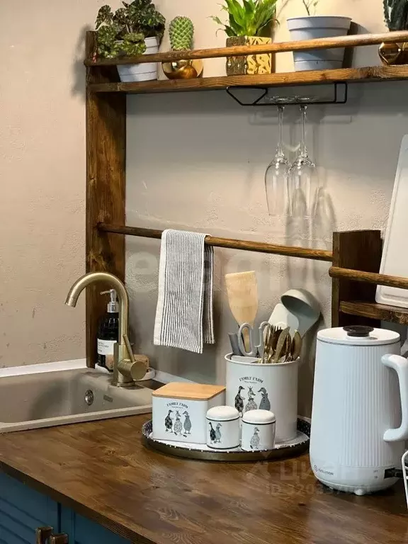 Студия Костромская область, Кострома Кинешемское ш., 15 (16.9 м) - Фото 1