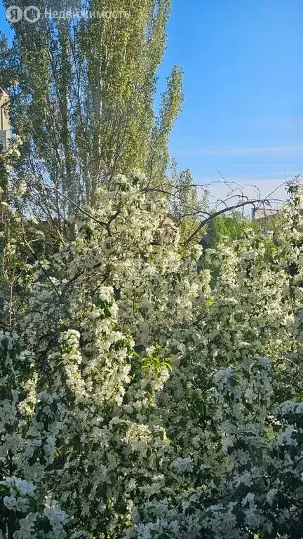 1-комнатная квартира: Октябрьский, улица Чапаева, 23 (31.4 м) - Фото 1