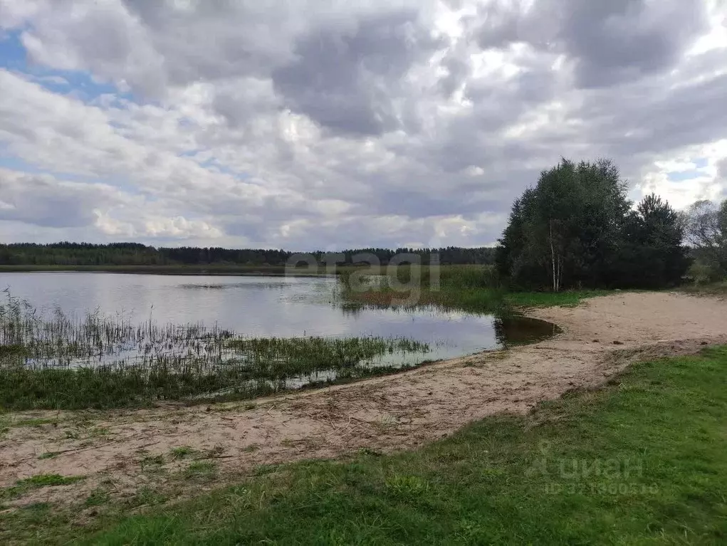 Участок в Псковская область, Печорский муниципальный округ, д. ... - Фото 1