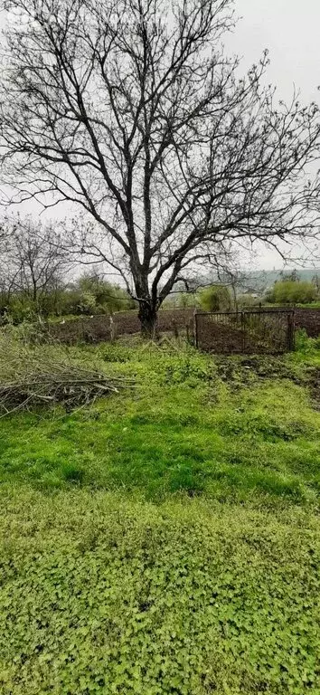 Участок в село Хаталдон, улица К. Хетагурова, 58 (41 м) - Фото 2