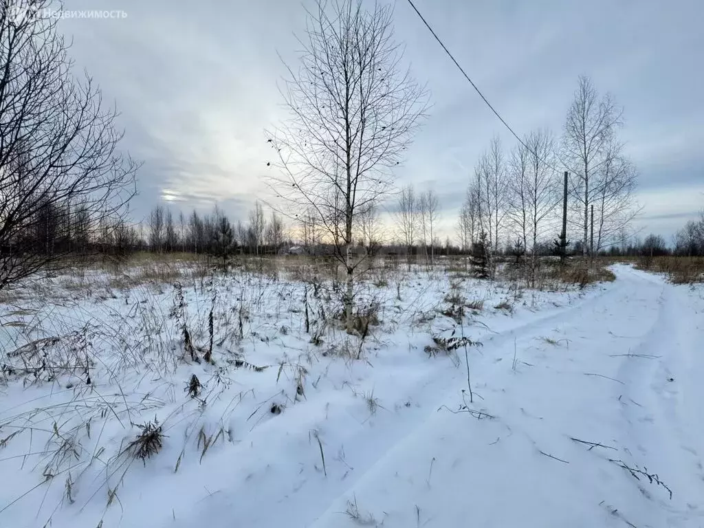 Участок в Республика Марий Эл, Йошкар-Ола (11.84 м) - Фото 1