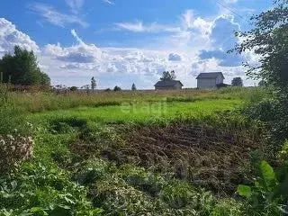 Участок в Ярославская область, Некрасовский муниципальный округ, ... - Фото 1