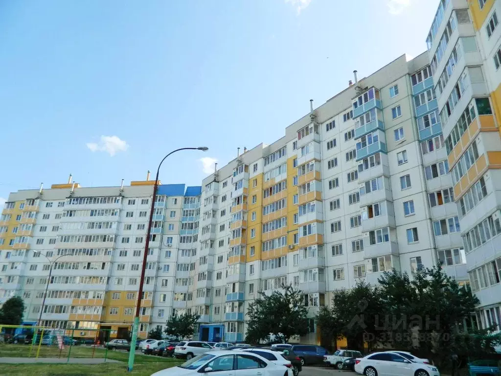 1-к кв. Белгородская область, Строитель Яковлевский городской округ, ... - Фото 0
