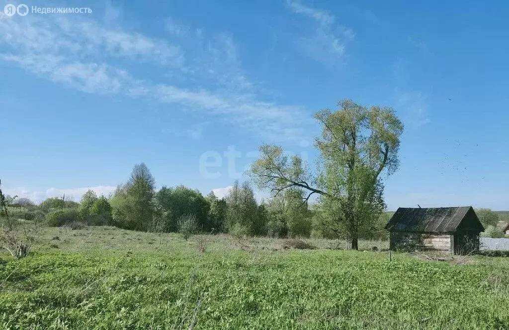 Участок в Тульская область, Венёвский муниципальный округ, посёлок ... - Фото 2