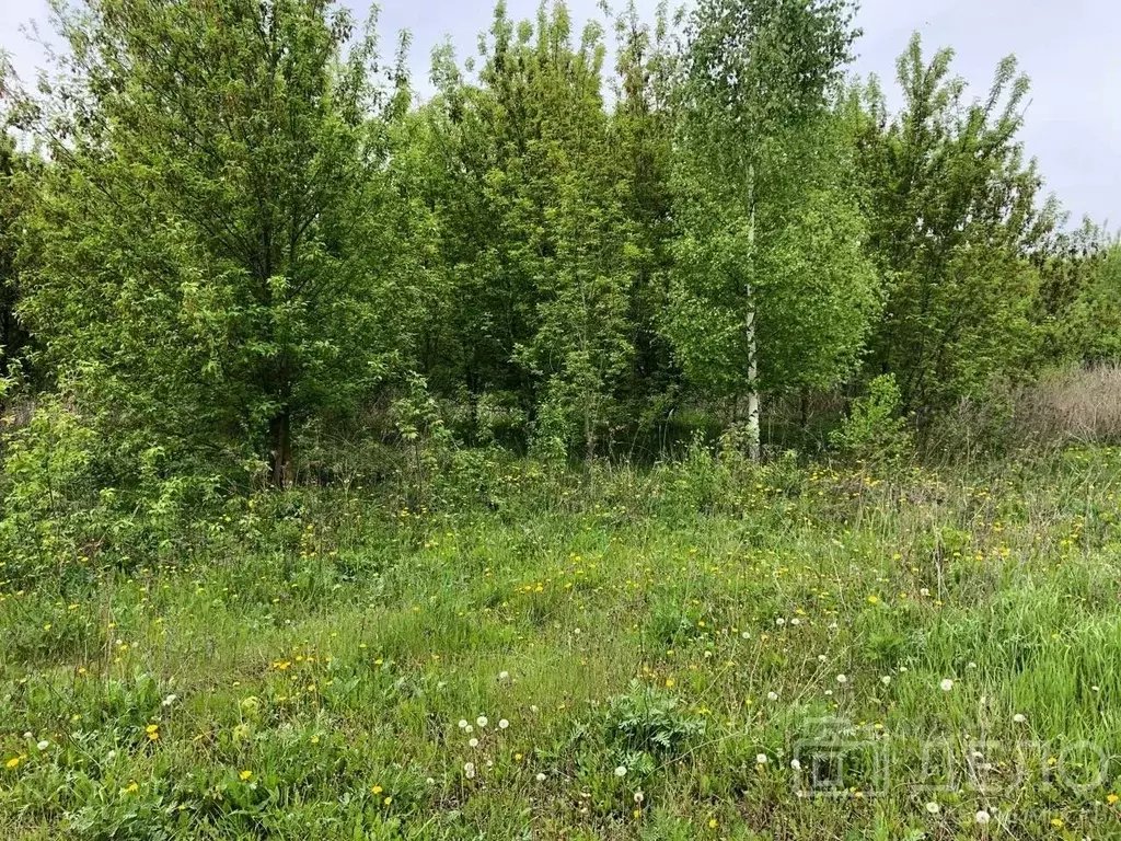 Участок в Рязанская область, Рыбновский муниципальный округ, д. ... - Фото 1