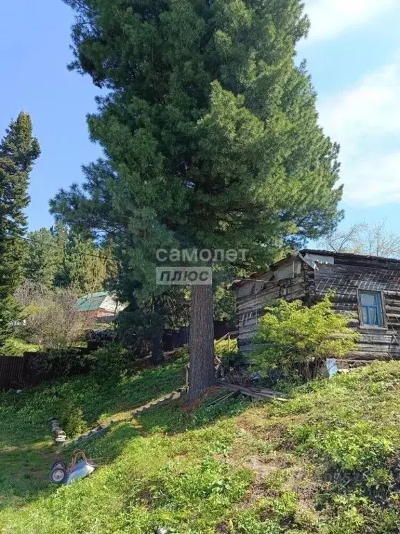 Дом в Томская область, Томск Кедр СНТ,  (30 м) - Фото 1