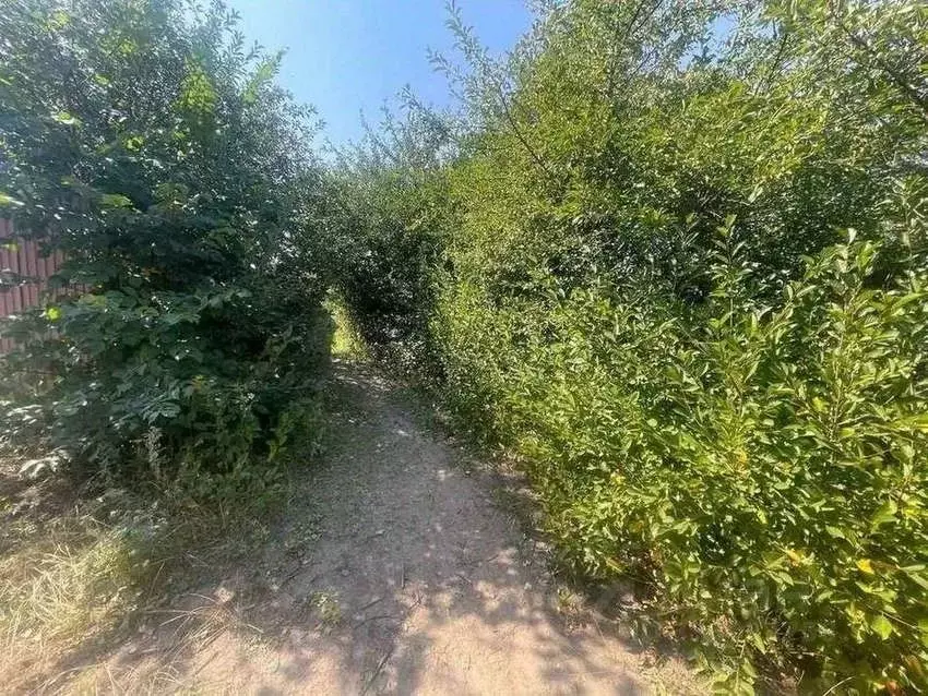 Участок в Белгородская область, Яковлевский муниципальный округ, ... - Фото 2