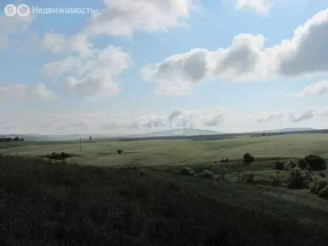 Участок в Смоленский район, село Смоленское (4300 м) - Фото 1