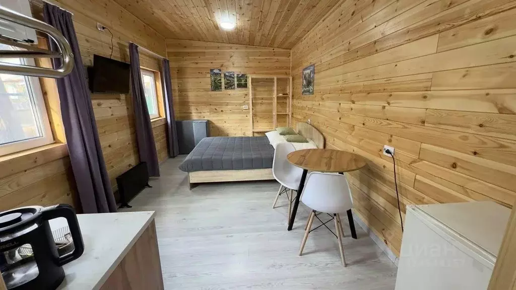 1-к кв. Бурятия, Тункинский район, пос. Аршан Набережная ул., 19А ... - Фото 1