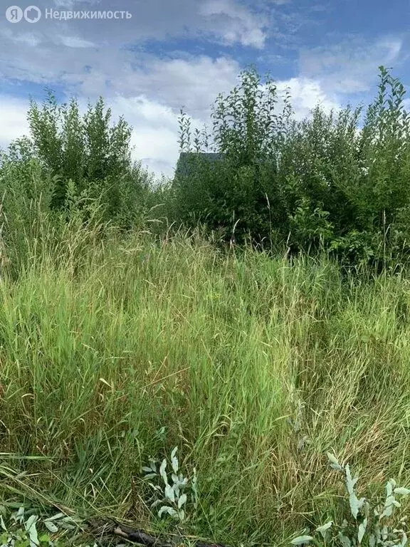 Участок в Низинское сельское поселение, посёлок Троицкая Гора, ... - Фото 2