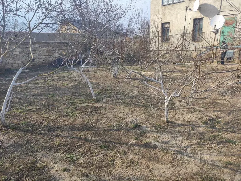 Дом в Крым, Евпатория городской округ, Заозерное пгт ул. Аллея Дружбы ... - Фото 2