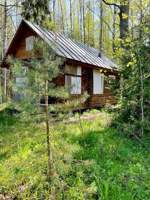 Участок в Владимирская область, Киржачский район, Першинское ... - Фото 1
