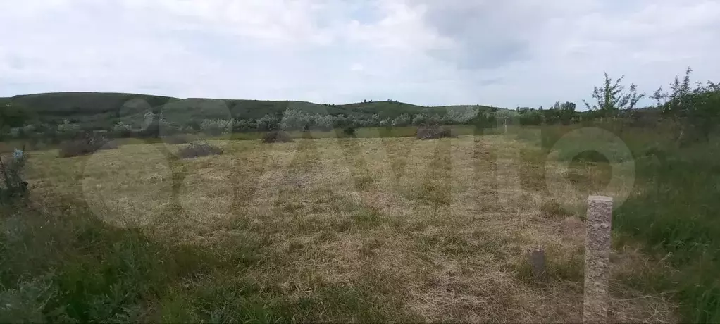 Участок 10 сот. (СНТ, ДНП) - Фото 0