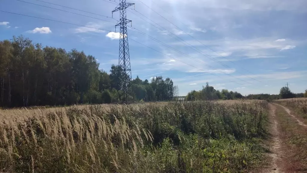 Участок в Московская область, Богородский городской округ, д. Ивашево  ... - Фото 0