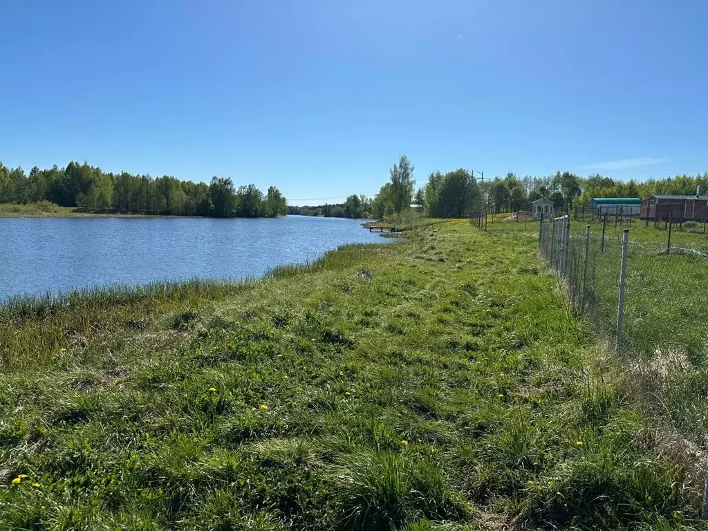 Участок в Тверская область, Калязинский муниципальный округ, д. ... - Фото 1