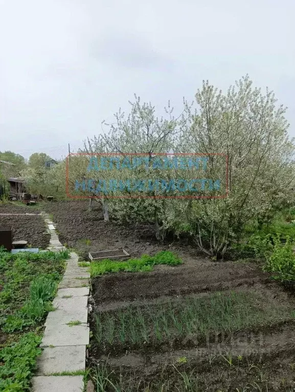 Дом в Ульяновская область, Димитровград Калинка СТ, 33 (17 м) - Фото 1