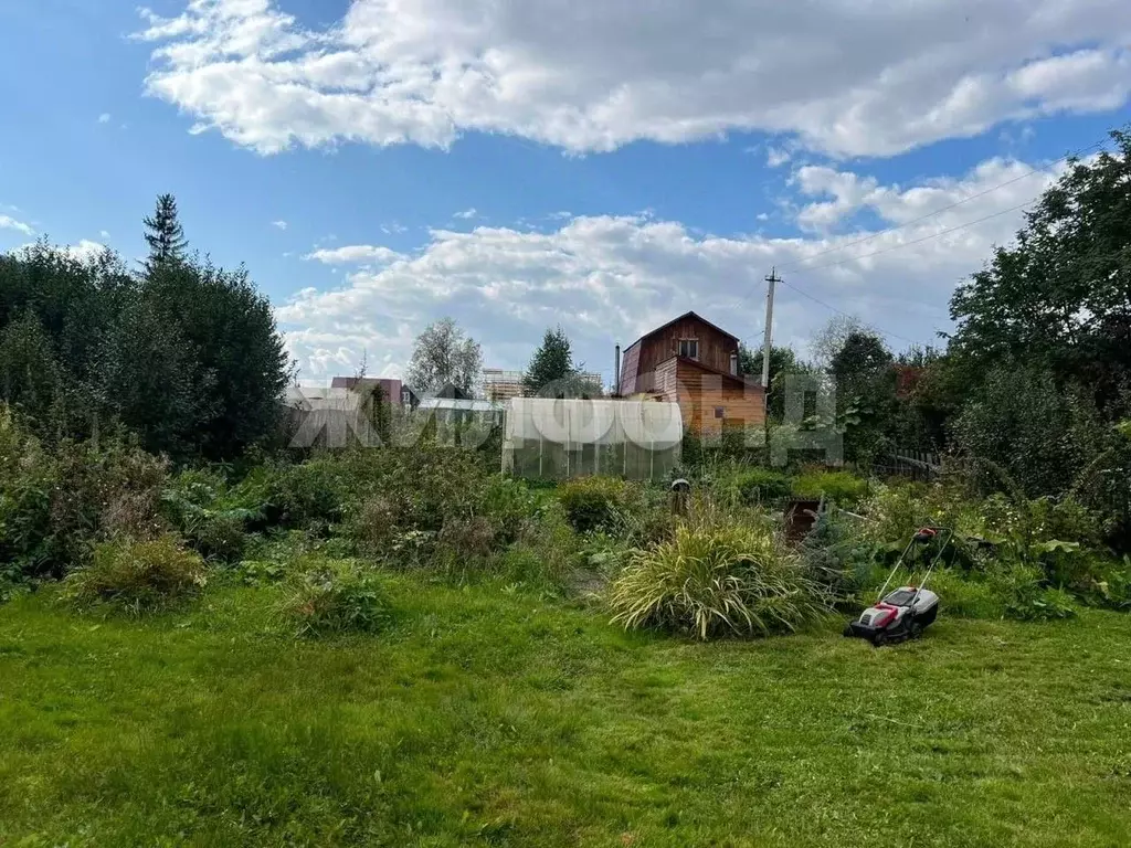 Дом в Новосибирская область, Новосибирск Ложок садовое товарищество,  ... - Фото 2
