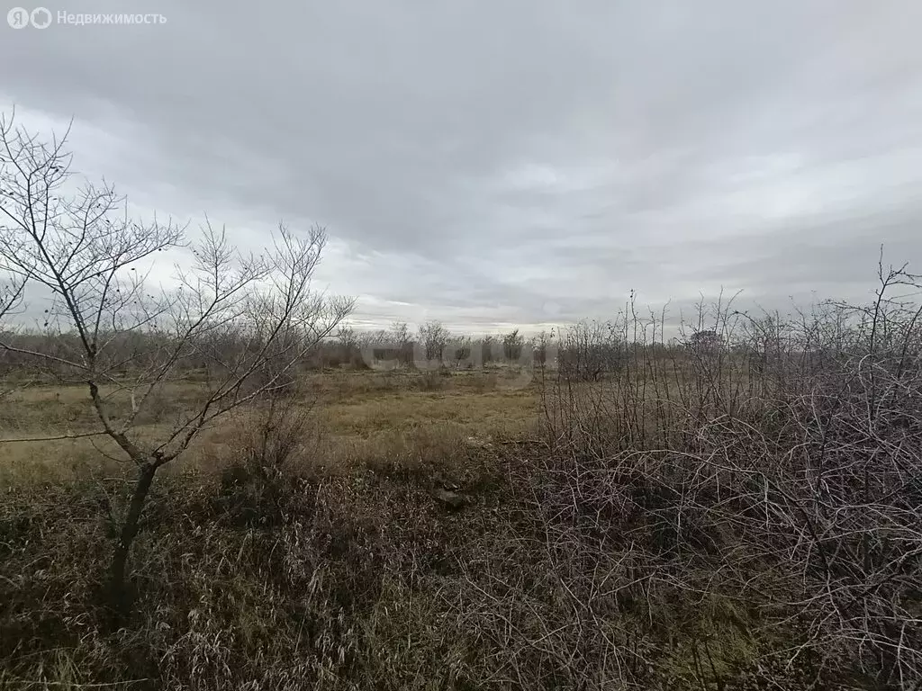 Участок в Усть-Абаканский район, село Зелёное (560 м) - Фото 2