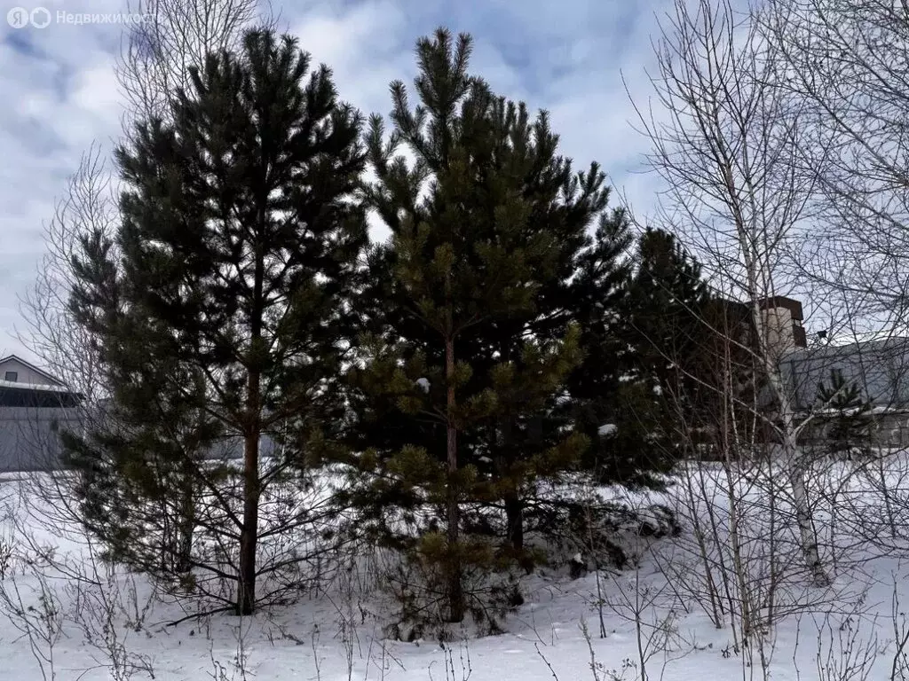 Участок в деревня Малиновка, коттеджный посёлок Лесной Остров, ... - Фото 2