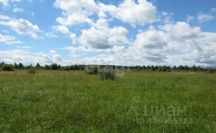 Участок в Липецкая область, Липецкий муниципальный округ, с. Троицкое ... - Фото 1