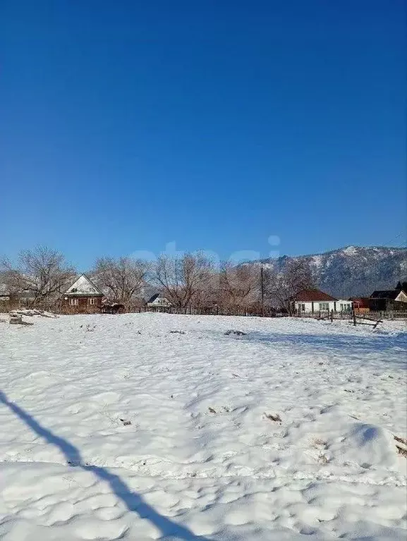 Участок в Алтай, Шебалинский район, с. Черга Октябрьская ул. (15.0 ... - Фото 1