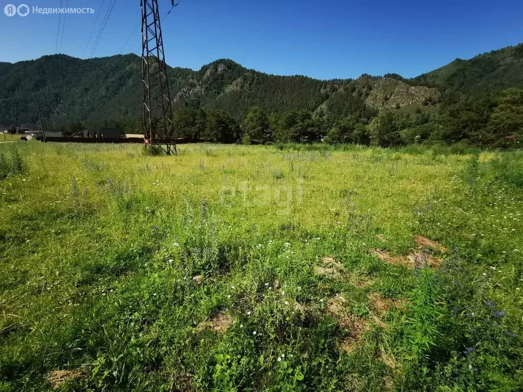 Участок в село Чемал, Прикатунская улица (10 м) - Фото 0