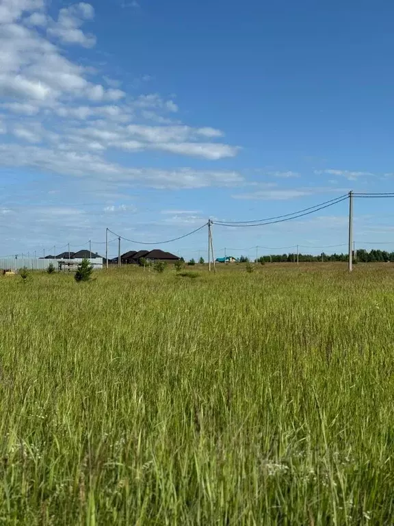 Участок в Татарстан, Лаишевский район, с. Державино, Державинские ... - Фото 0