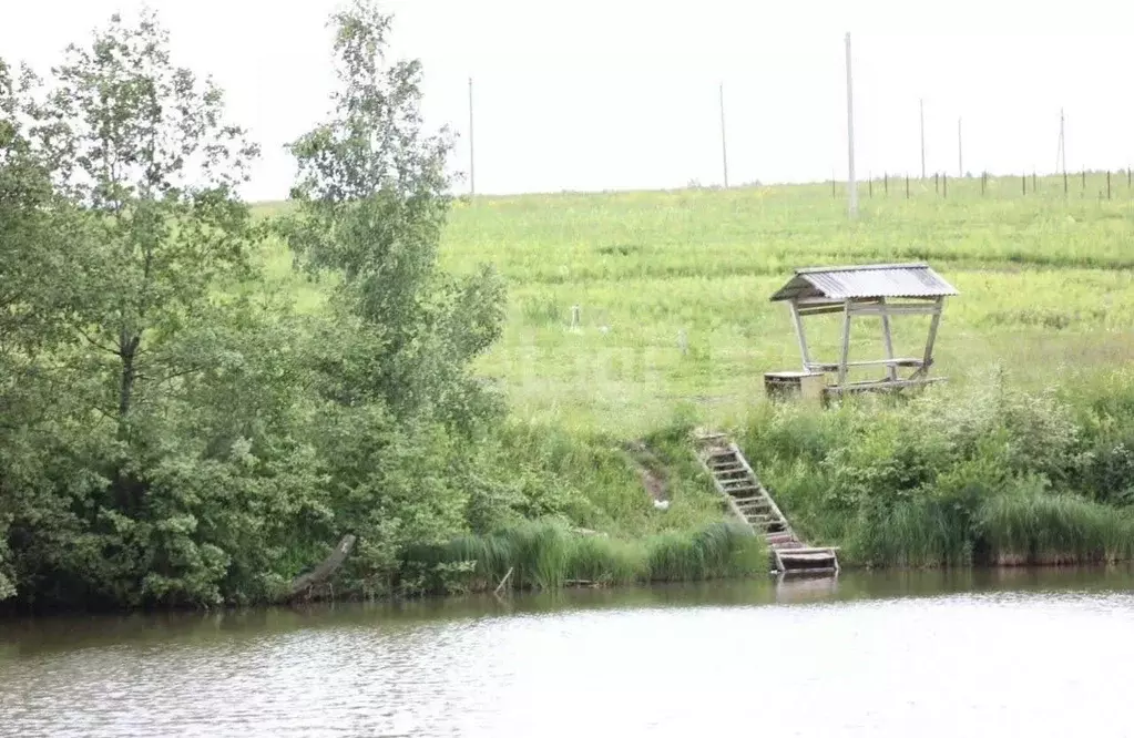 Участок в Пермский край, Нытвенский городской округ, с. Воробьи  (17.5 ... - Фото 0