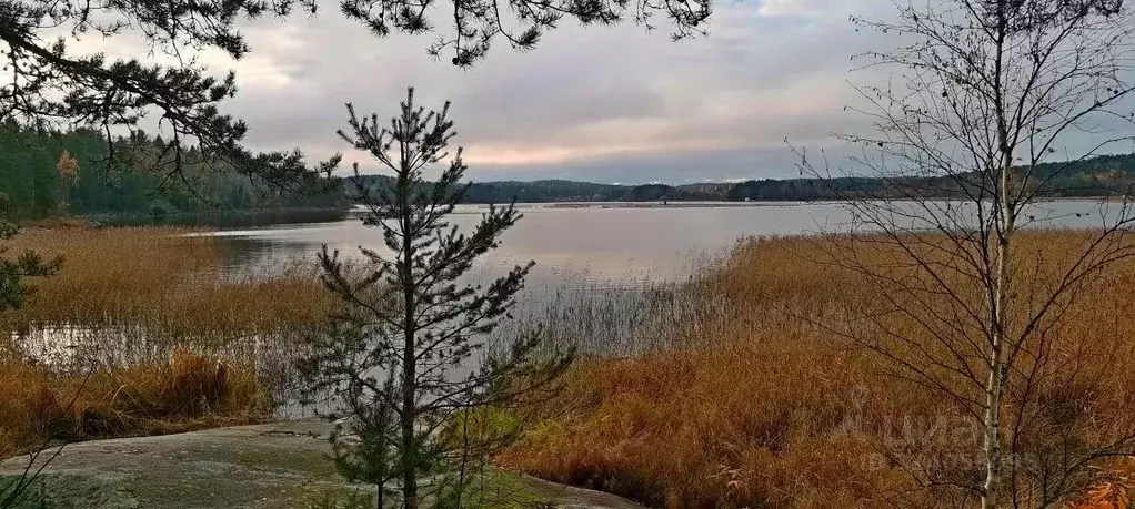 Участок в Карелия, Сортавальский муниципальный округ, пос. ... - Фото 0