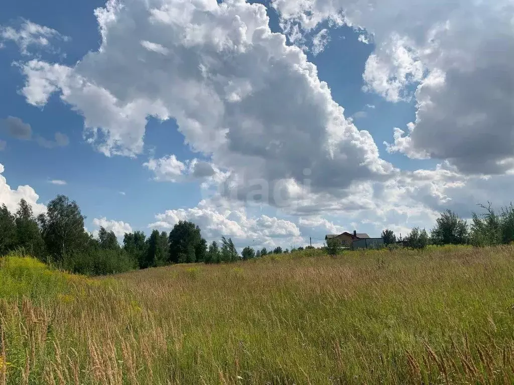 Участок в Брянская область, Брянский район, Отрадненское с/пос, с. ... - Фото 2